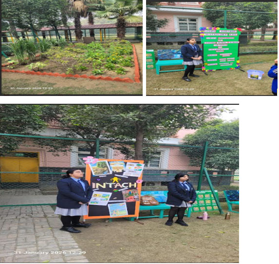 Jaypee Public School, Greater Noida Report On Herbal Garden